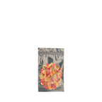 Tamper Evident | Silver Vista Mylar Bags | 4" x 5" - 3.5g - 1000 Count - Biohazard Inc - Tear Notch - Edibles